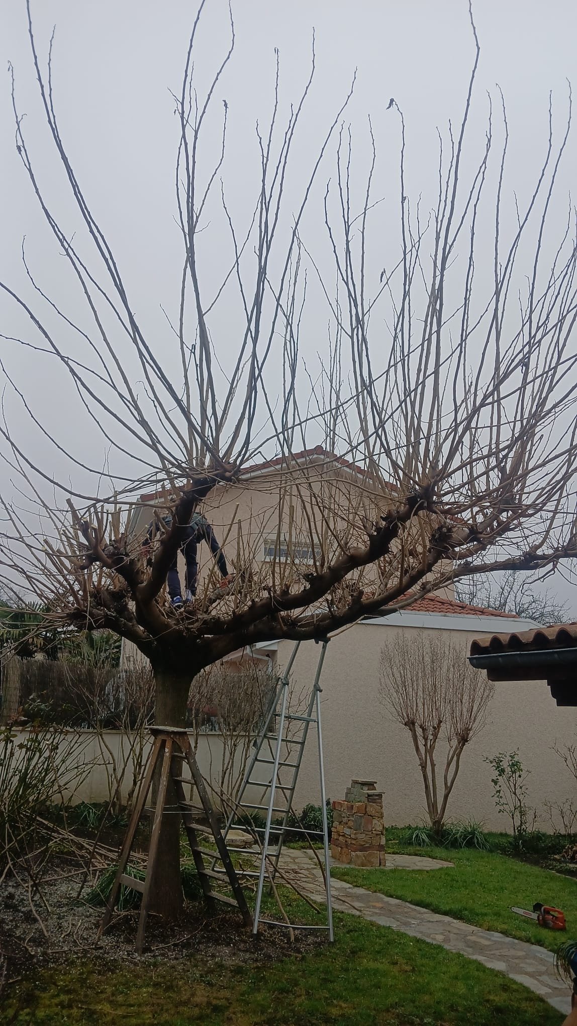 Travaux divers - Photo 11