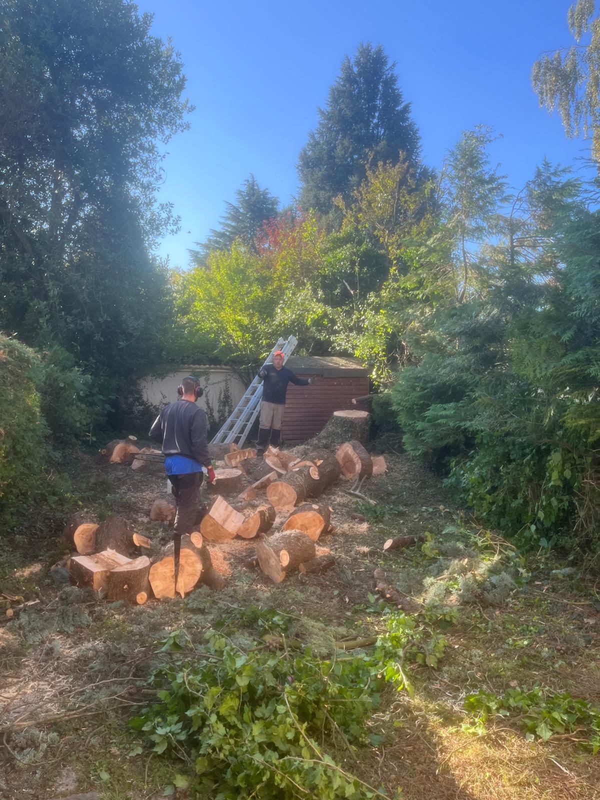 Travaux divers - Photo 8